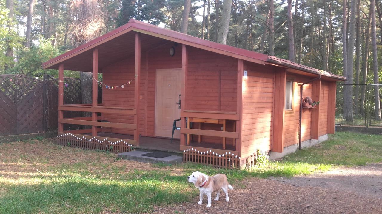 Villa Ow Gabi Miedzywodzie Esterno foto